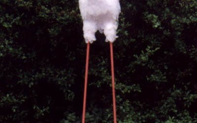 Ooievaar